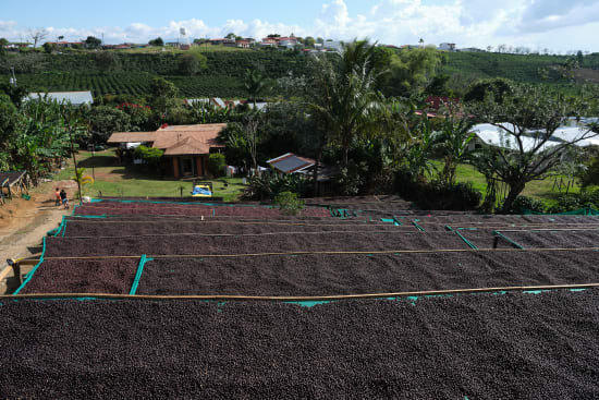 Finca El Orvo | Costa Rica | Filter