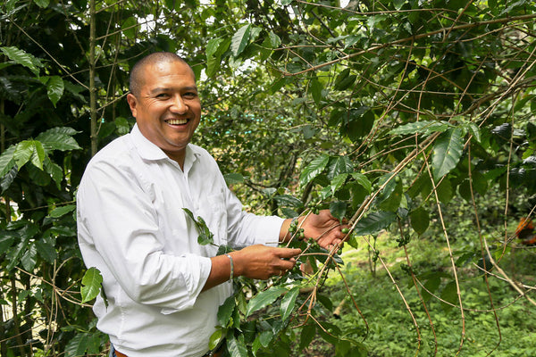 James Fernandez | Colombia | Filter
