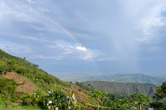 La Fuente | Colombia | Filter