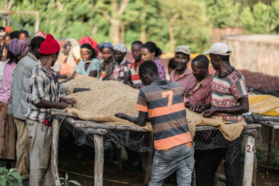 Chelchele | Ethiopia | Filter