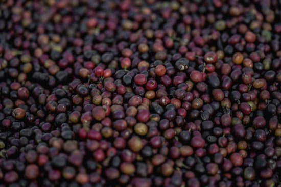 Chelchele | Ethiopia | Filter