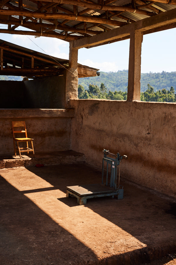 Gara Agena | Ethiopia | Filter
