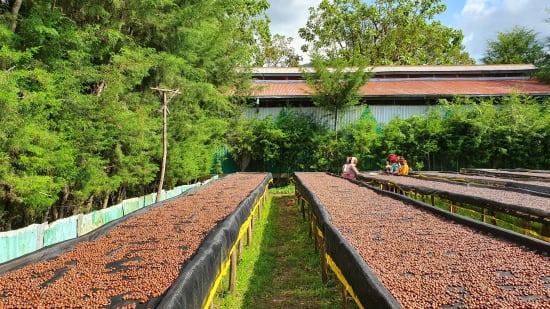 Idido | Ethiopia | Filter