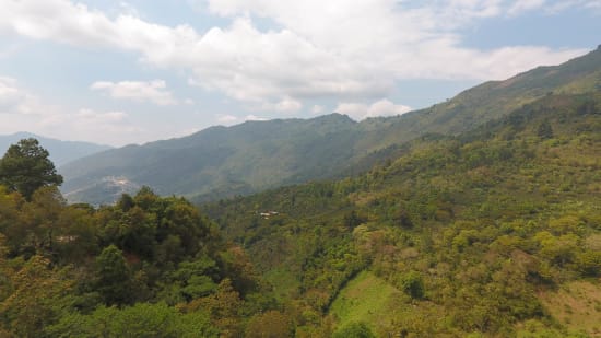 Finca Quenja | Guatemala | Espresso