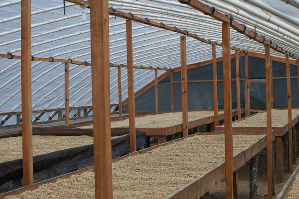 Las Flores | Honduras | Espresso