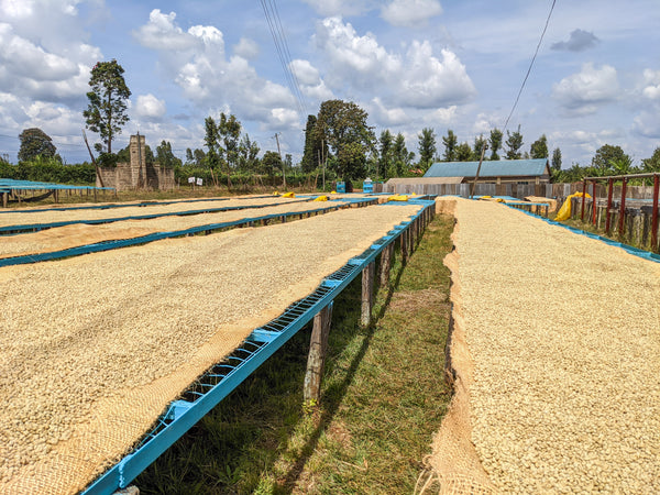 Gichathaini | Kenya | Filter