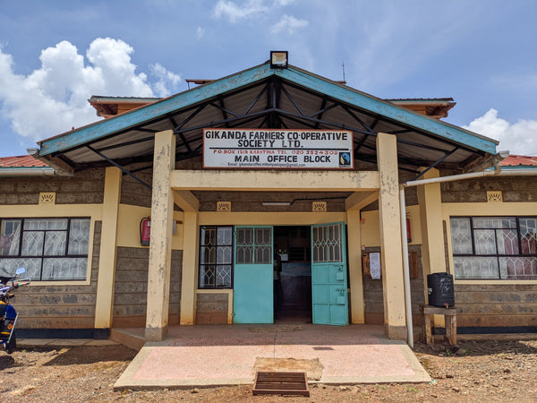 Gichathaini | Kenya | Filter