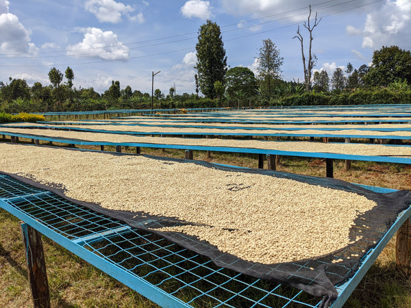 Gichathaini | Kenya | Filter