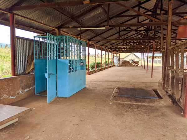 Gichathaini | Kenya | Filter