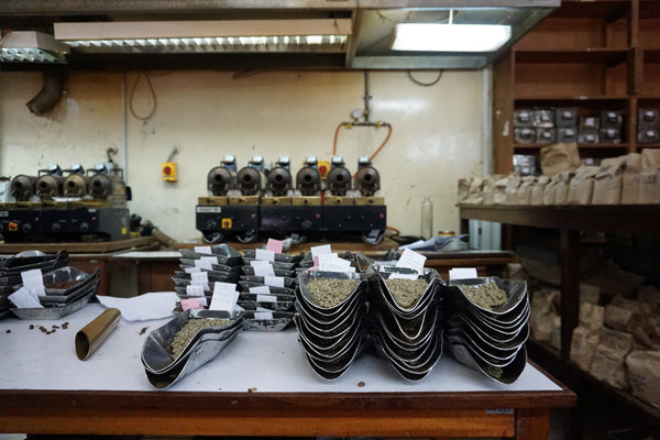 Gachatha | Kenya | Filter