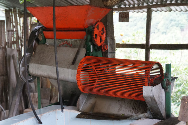 China Alta | Colombia | Espresso