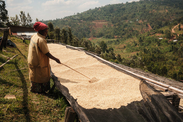 Philippe Sinayobye | Rwanda | Filter