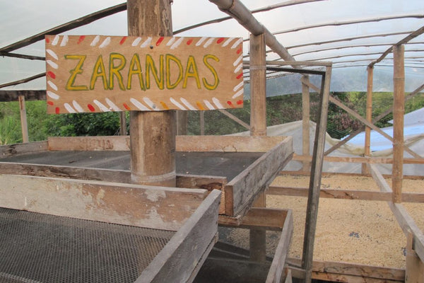 Los Nogales | Colombia | Filter