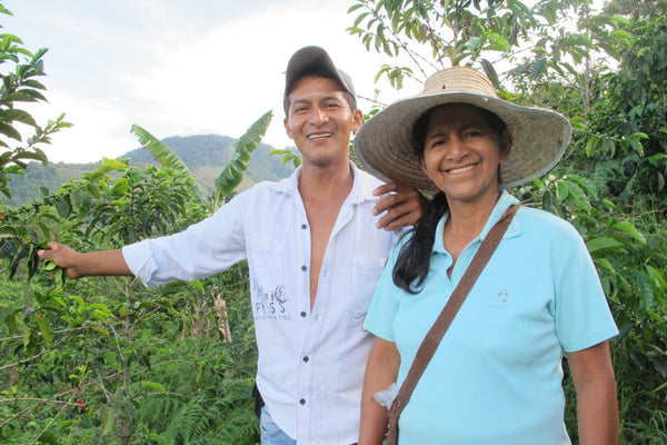 Los Nogales | Colombia | Filter