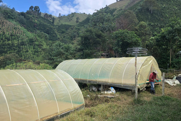 Los Nogales | Colombia | Filter