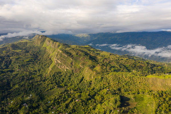 Los Nogales | Colombia | Filter
