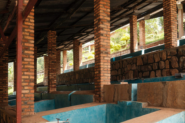 Philippe Sinayobye | Rwanda | Filter