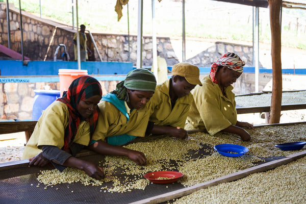 Philippe Sinayobye | Rwanda | Filter