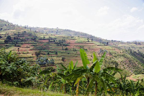 Philippe Sinayobye | Rwanda | Filter