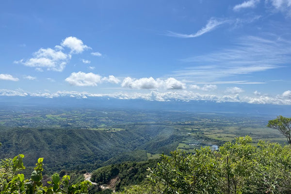 Canta Ranas | Colombia | Filter