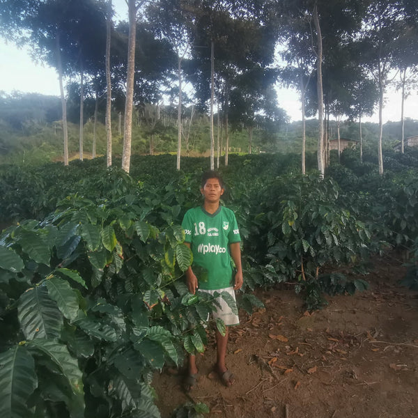 Jhonny Corina | Bolivia | Espresso