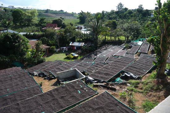 Finca El Orvo | Costa Rica | Filter