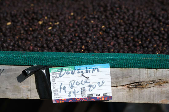 Finca El Orvo | Costa Rica | Filter