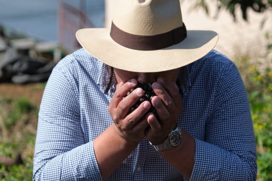 Finca El Orvo | Costa Rica | Filter