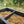 Patio Bonito | Colombia | Filter