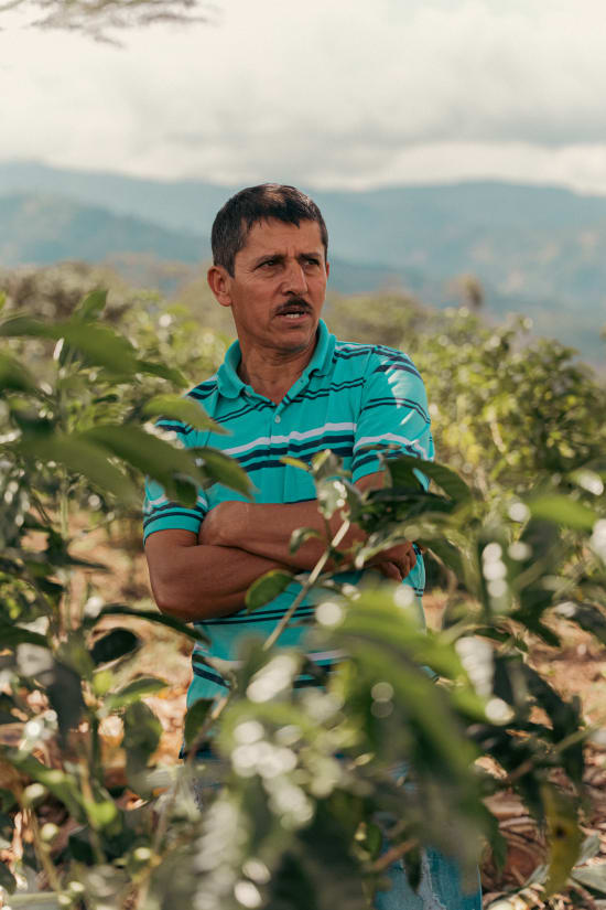 [Limited Release] Villa Betulia | Colombia | Filter