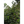 Las Brisas | Colombia | Filter