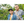 Las Brisas | Colombia | Filter