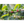 Las Brisas | Colombia | Filter