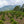 La Fuente | Colombia | Filter