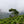 La Fuente | Colombia | Filter