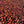 Brumas | Costa Rica | Filter