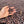 Brumas | Costa Rica | Filter