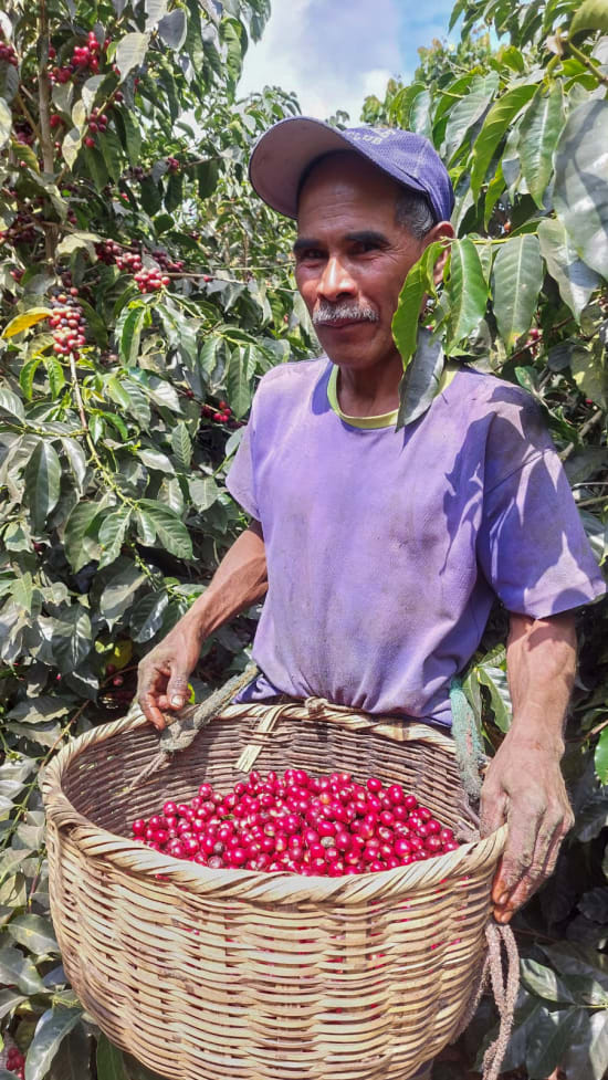 Plan Del Hoyo | El Salvador | Espresso