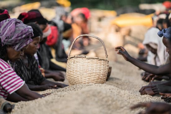 Chelchele | Ethiopia | Espresso