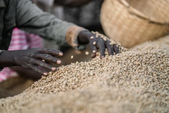 Chelchele | Ethiopia | Espresso