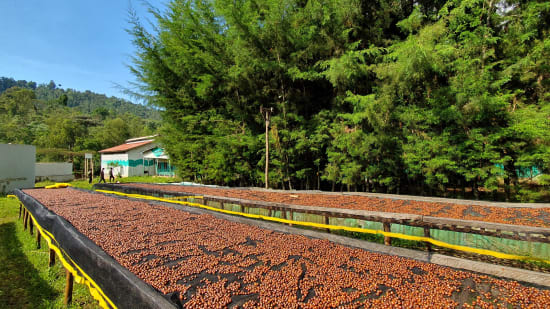 Idido | Ethiopia | Filter