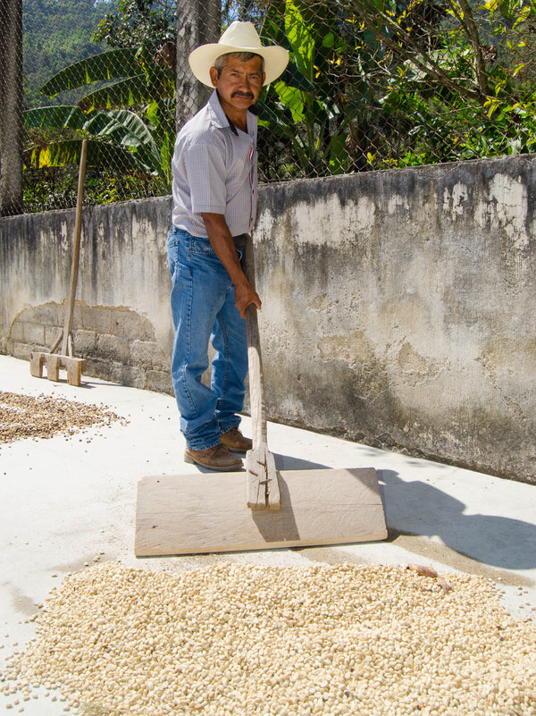El Frutal | Guatemala | Espresso