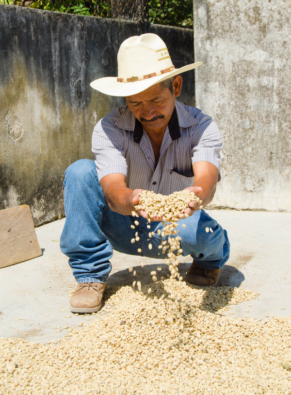 El Frutal | Guatemala | Espresso
