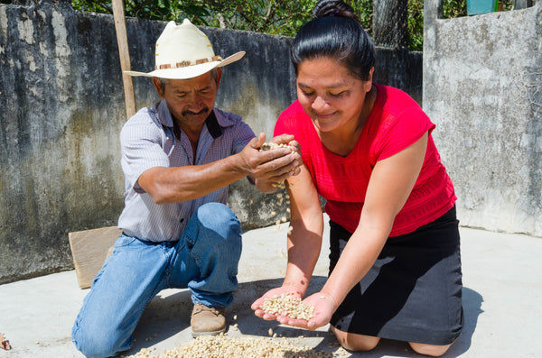 El Frutal | Guatemala | Espresso