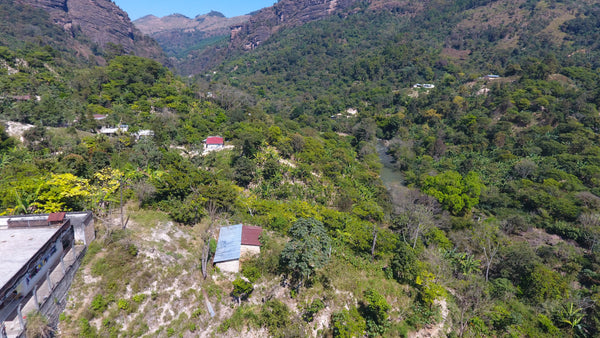 El Frutal | Guatemala | Espresso