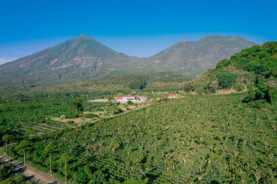 Pampojila | Guatemala | Filter