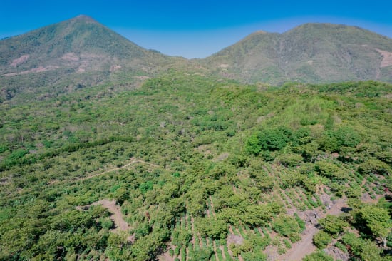 Pampojila | Guatemala | Filter