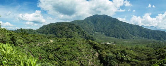 Pampojila | Guatemala | Filter