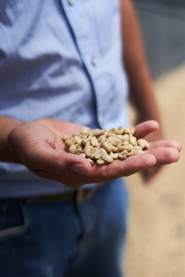 Las Flores | Honduras | Espresso