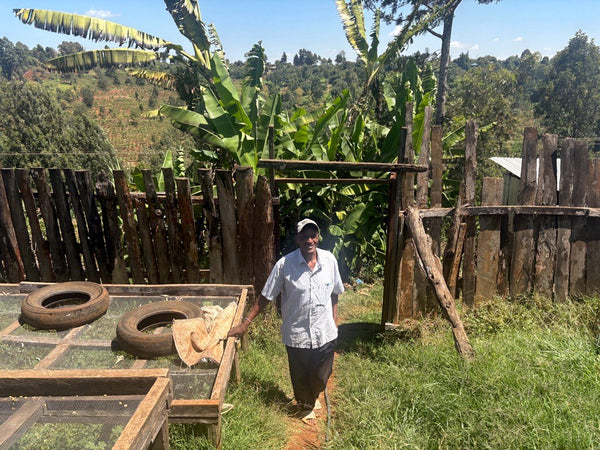 Bnivaans Estate | Kenya | Espresso